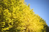 散歩…秋の風景