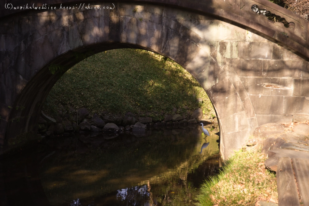 冬の小石川後楽園 - 02