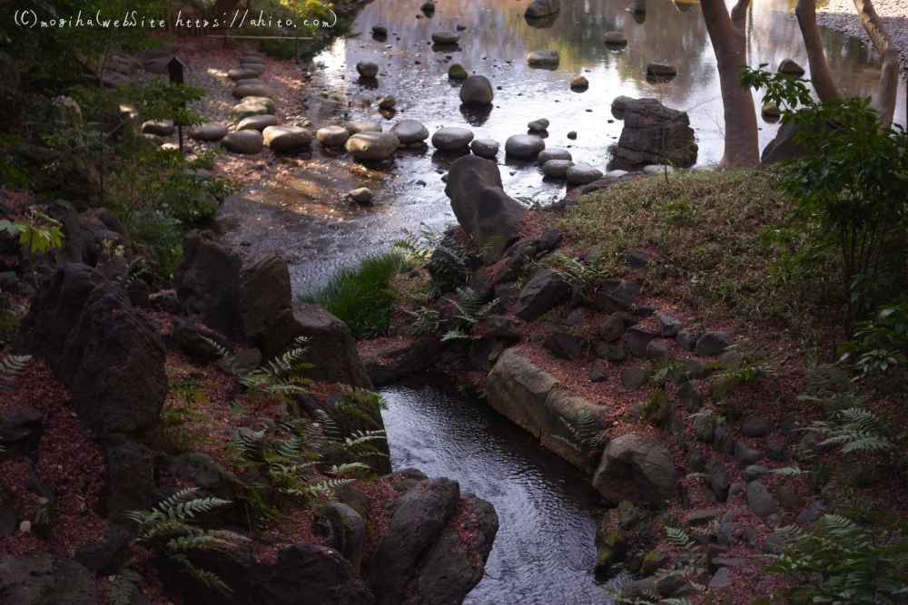 冬の小石川後楽園 - 07