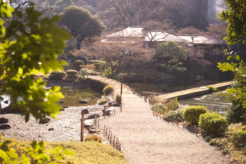冬の小石川後楽園 - 08