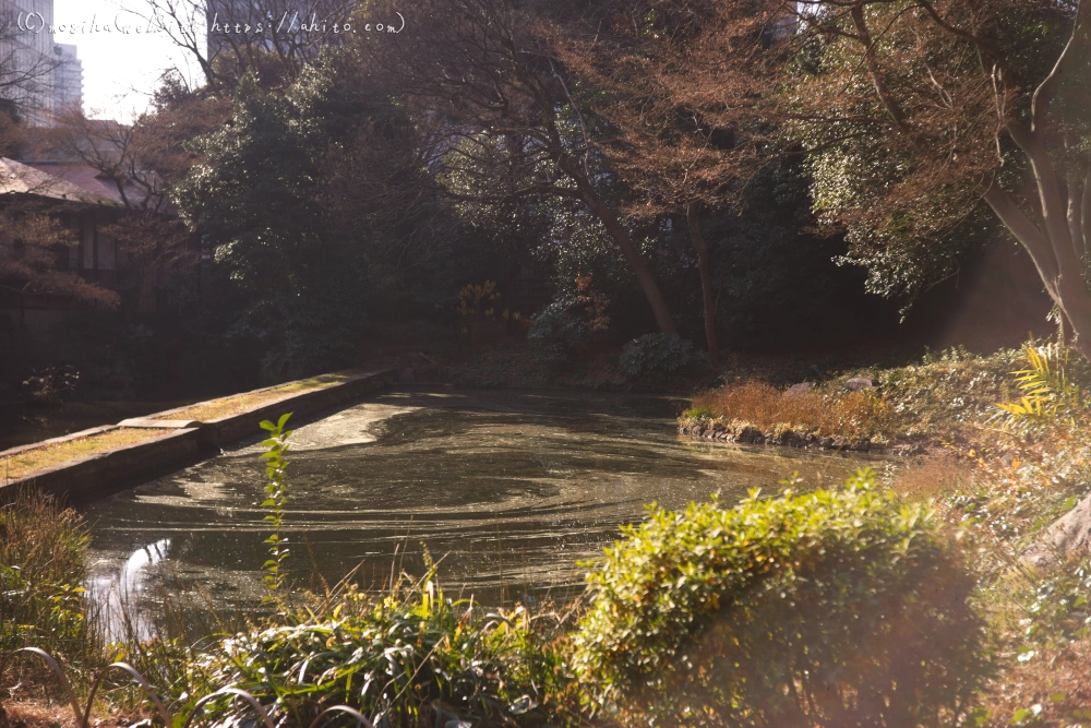 冬の小石川後楽園 - 09
