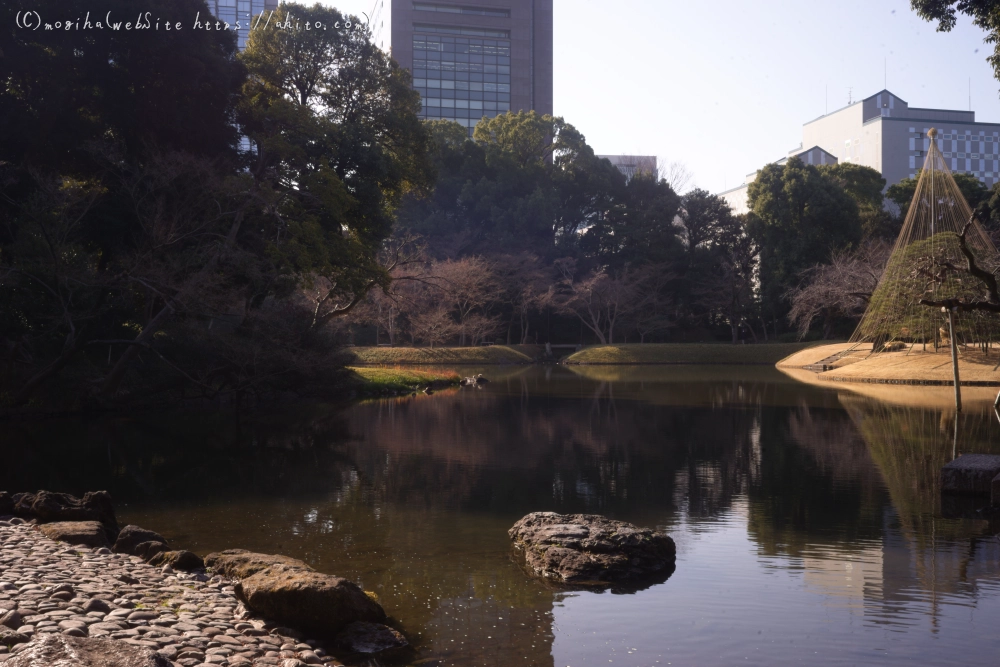 冬の小石川後楽園 - 15