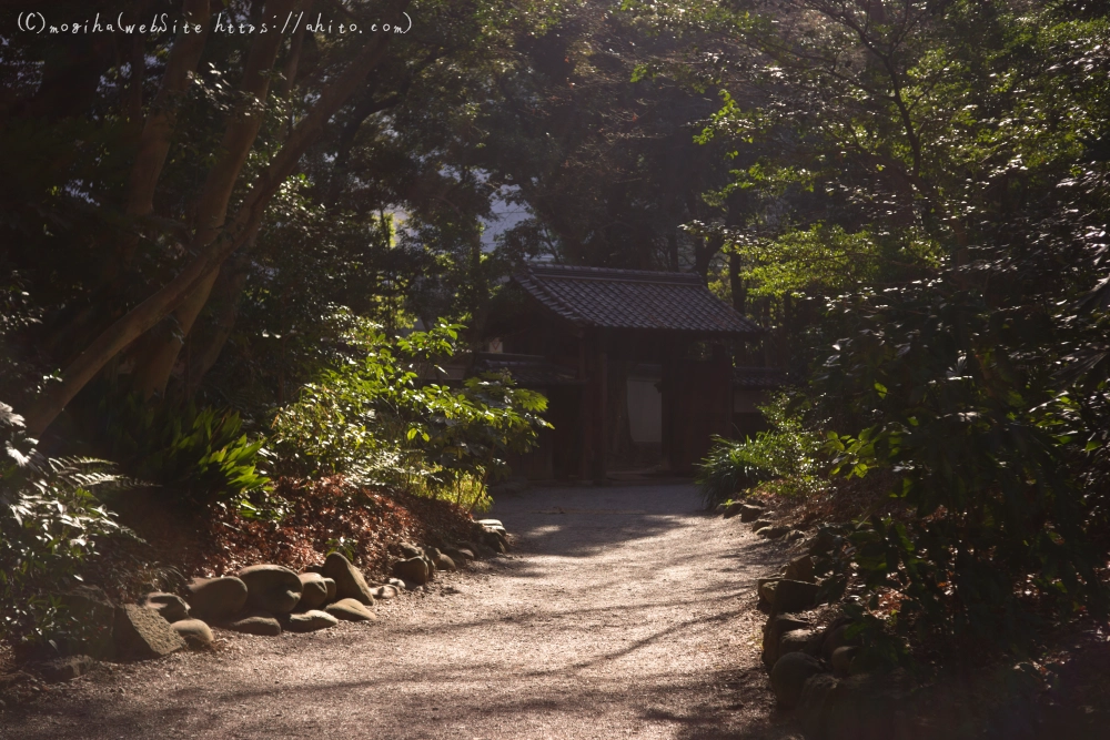 冬の小石川後楽園 - 30