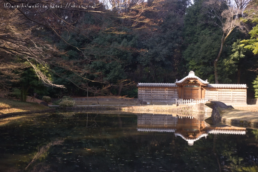 冬の小石川後楽園 - 33