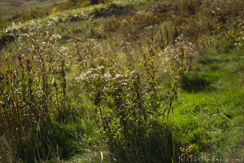 谷川岳とおにぎり山(1) - 02