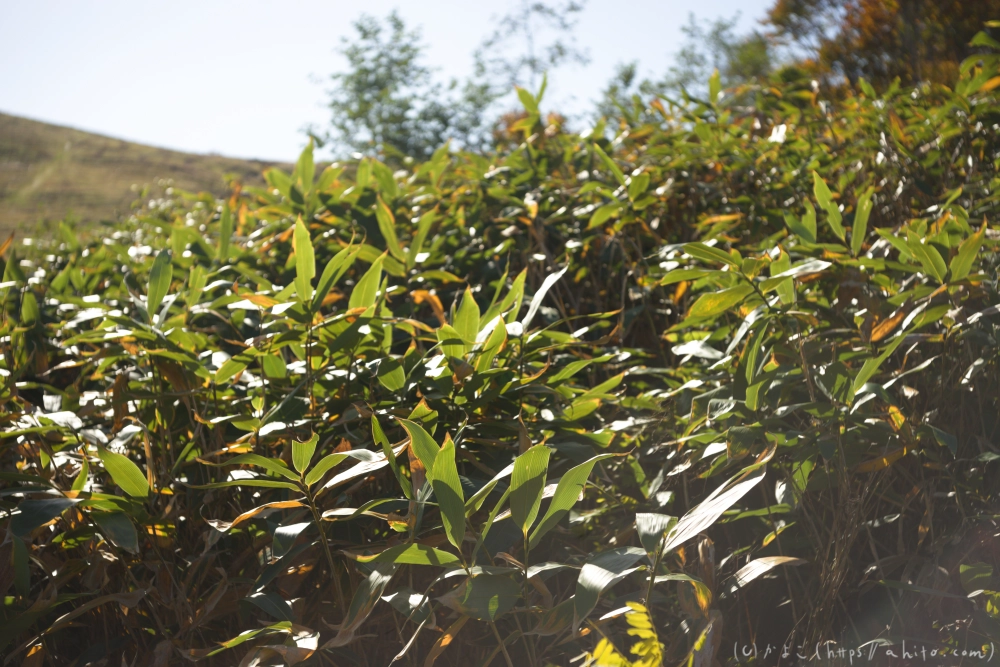 谷川岳とおにぎり山(1) - 03