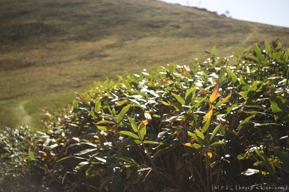 谷川岳とおにぎり山(1) - 04