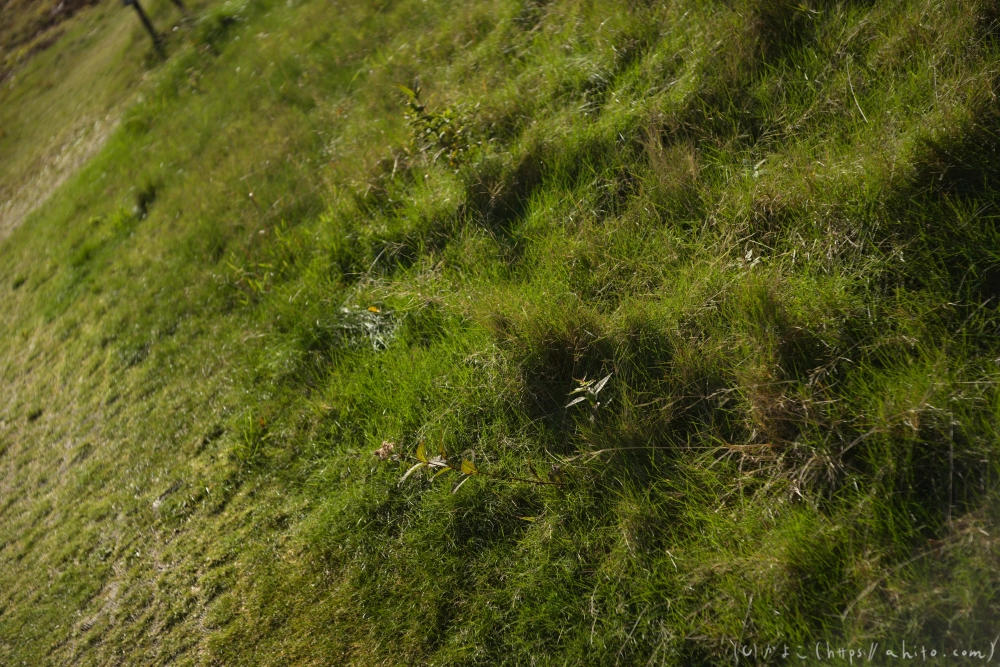谷川岳とおにぎり山(1) - 06