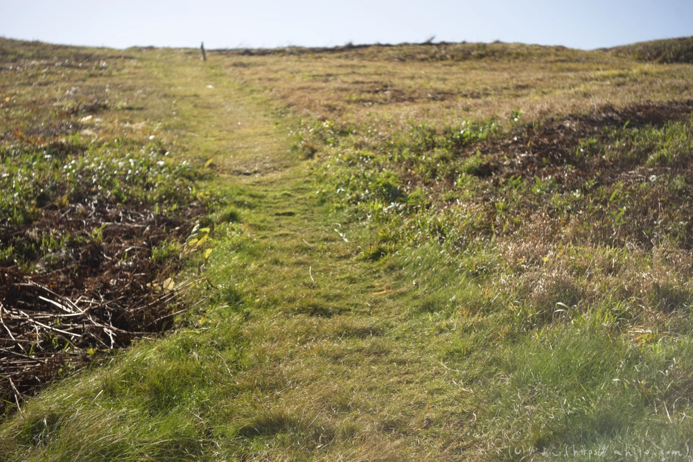 谷川岳とおにぎり山(1) - 10