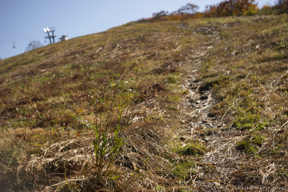 谷川岳とおにぎり山(1) - 13