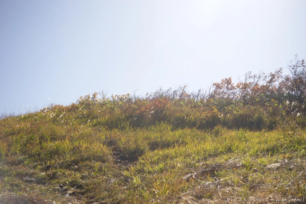 谷川岳とおにぎり山(1) - 15