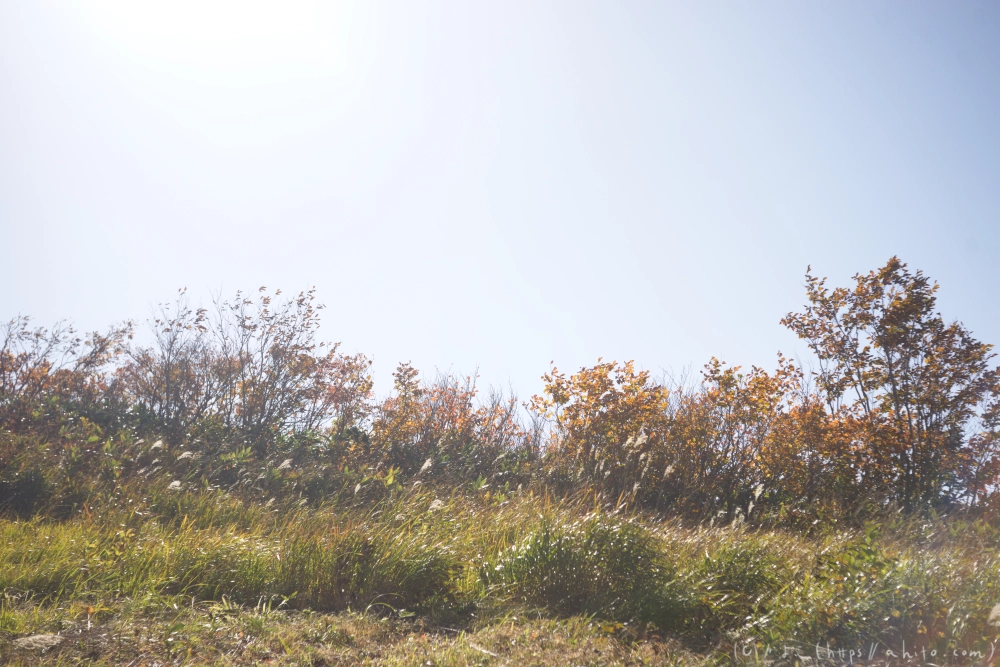 谷川岳とおにぎり山(1) - 16