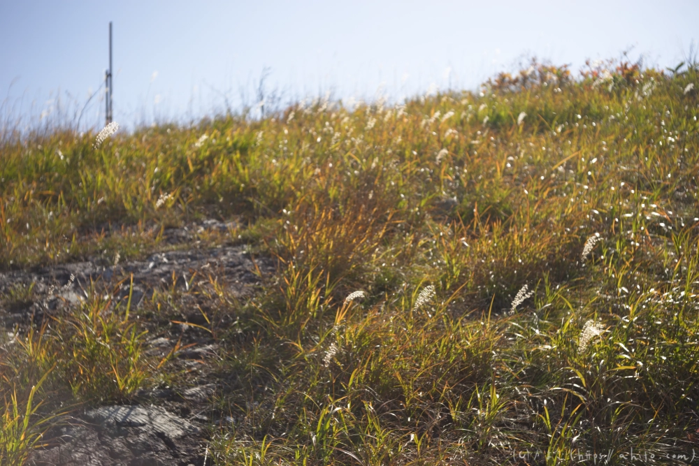 谷川岳とおにぎり山(1) - 17