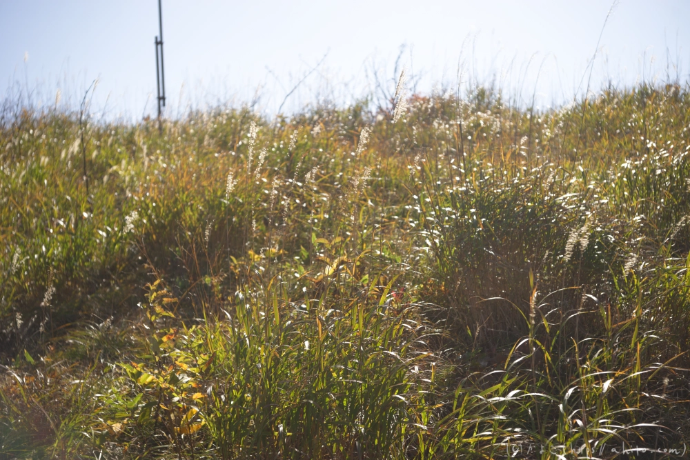 谷川岳とおにぎり山(1) - 18