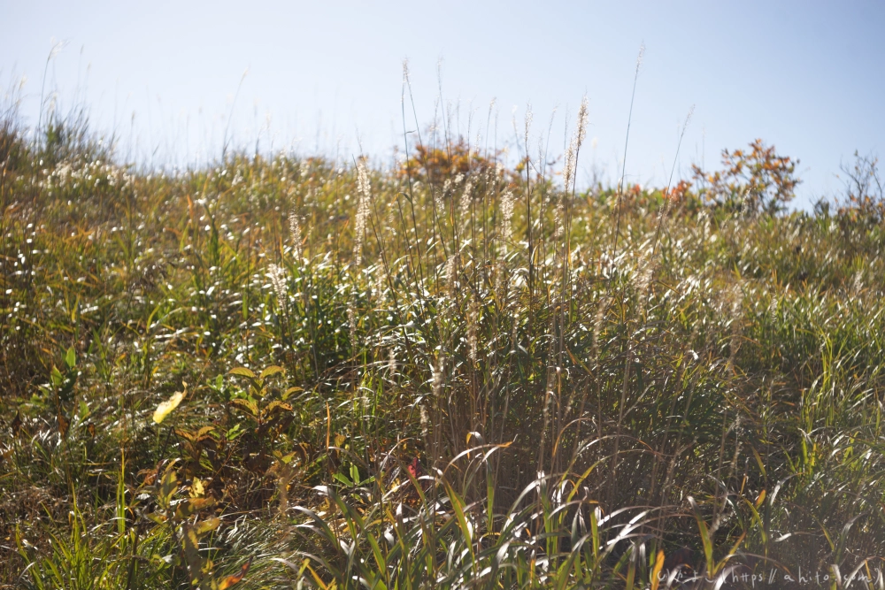 谷川岳とおにぎり山(1) - 19