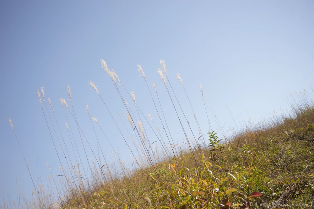 谷川岳とおにぎり山(1) - 20
