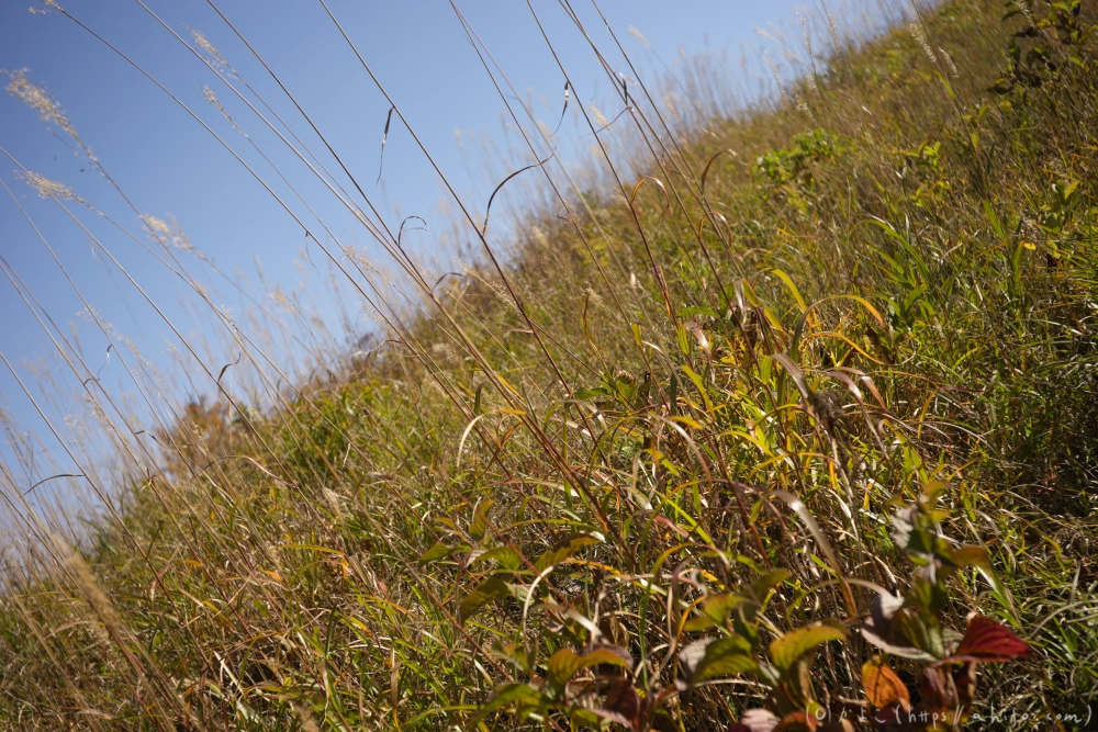 谷川岳とおにぎり山(1) - 21