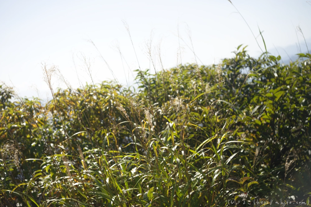谷川岳とおにぎり山(1) - 22