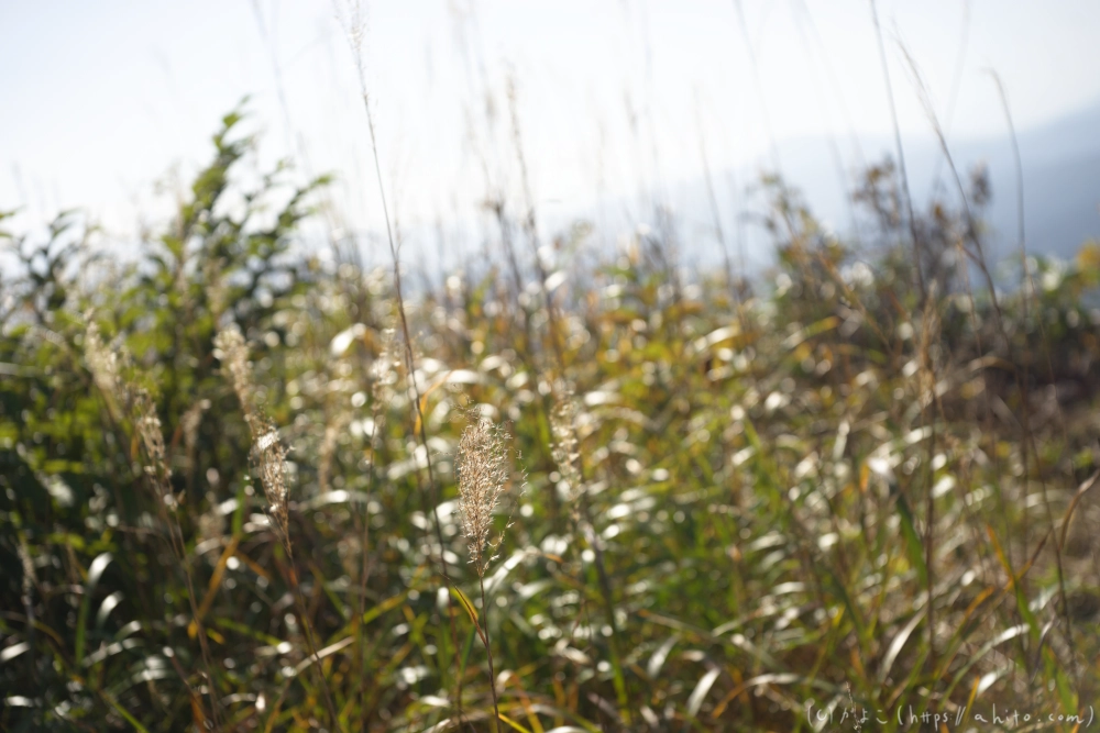 谷川岳とおにぎり山(1) - 24