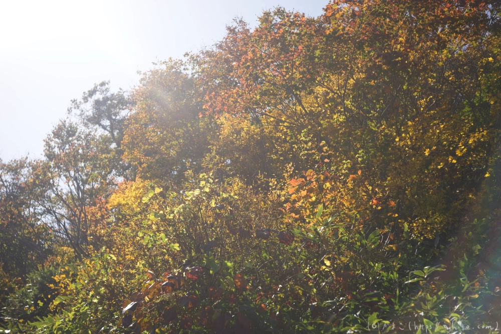 谷川岳とおにぎり山(2) - 01