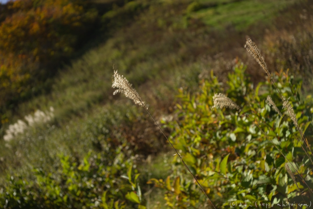 谷川岳とおにぎり山(2) - 04