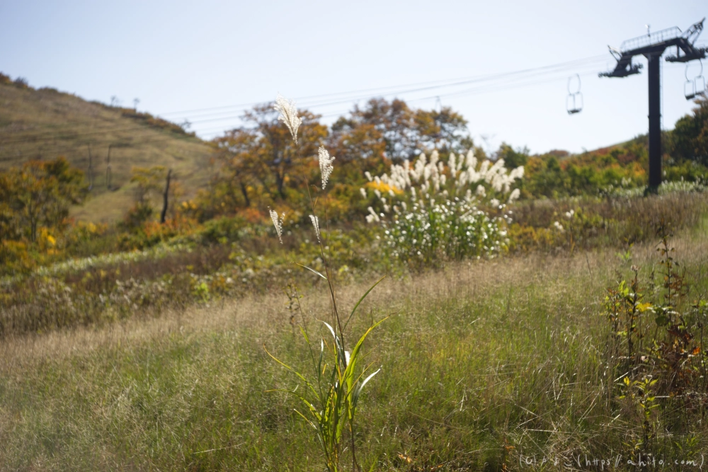 谷川岳とおにぎり山(2) - 05