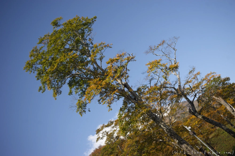 谷川岳とおにぎり山(2) - 06