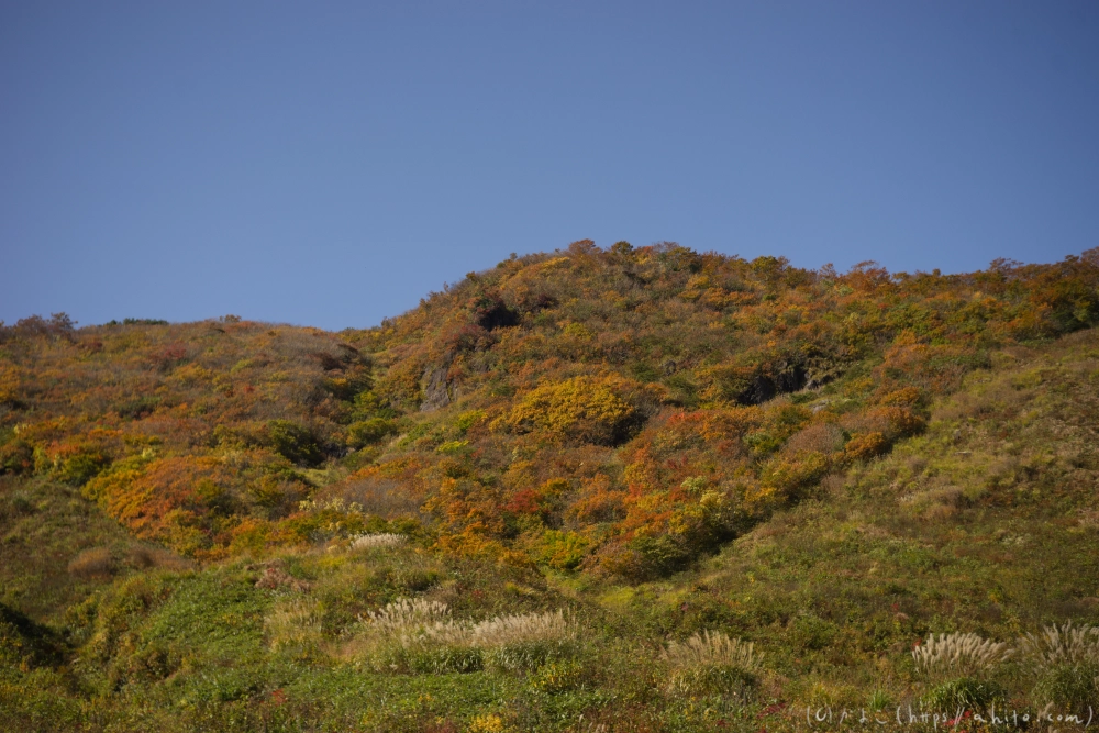 谷川岳とおにぎり山(2) - 08