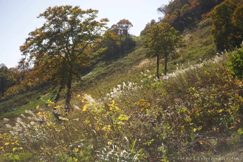 谷川岳とおにぎり山(2) - 09
