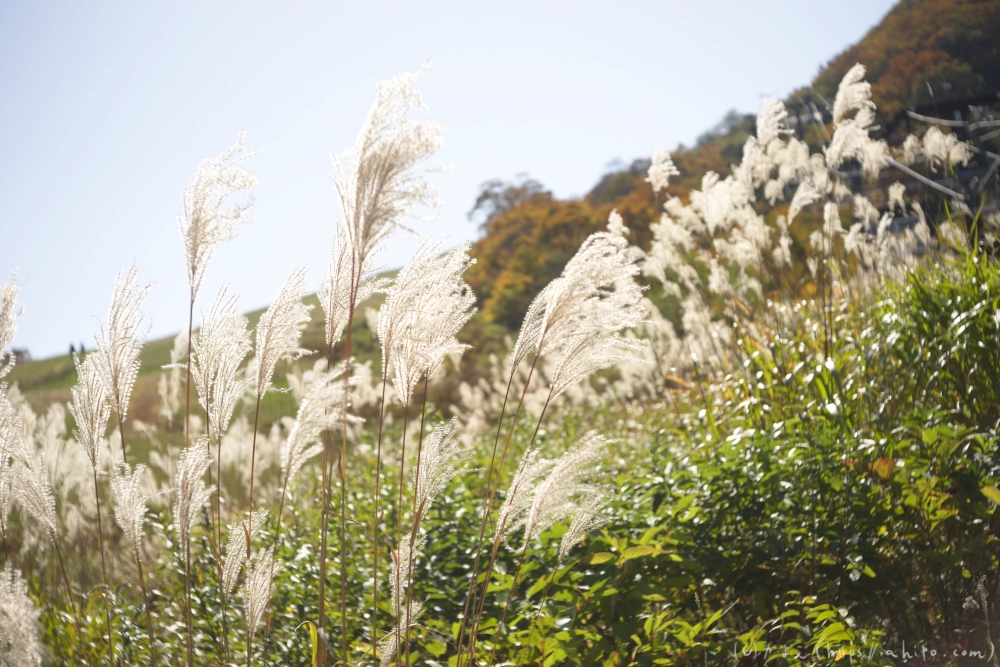 谷川岳とおにぎり山(2) - 20