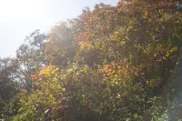 谷川岳とおにぎり山(2)