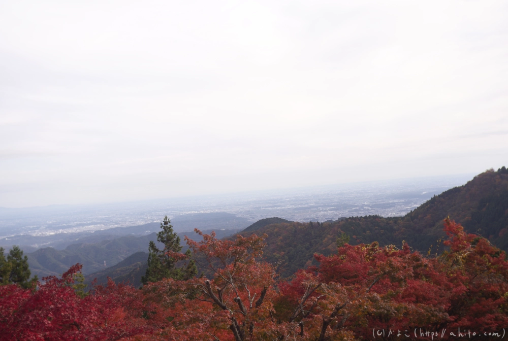 御岳山と紅葉１ - 16