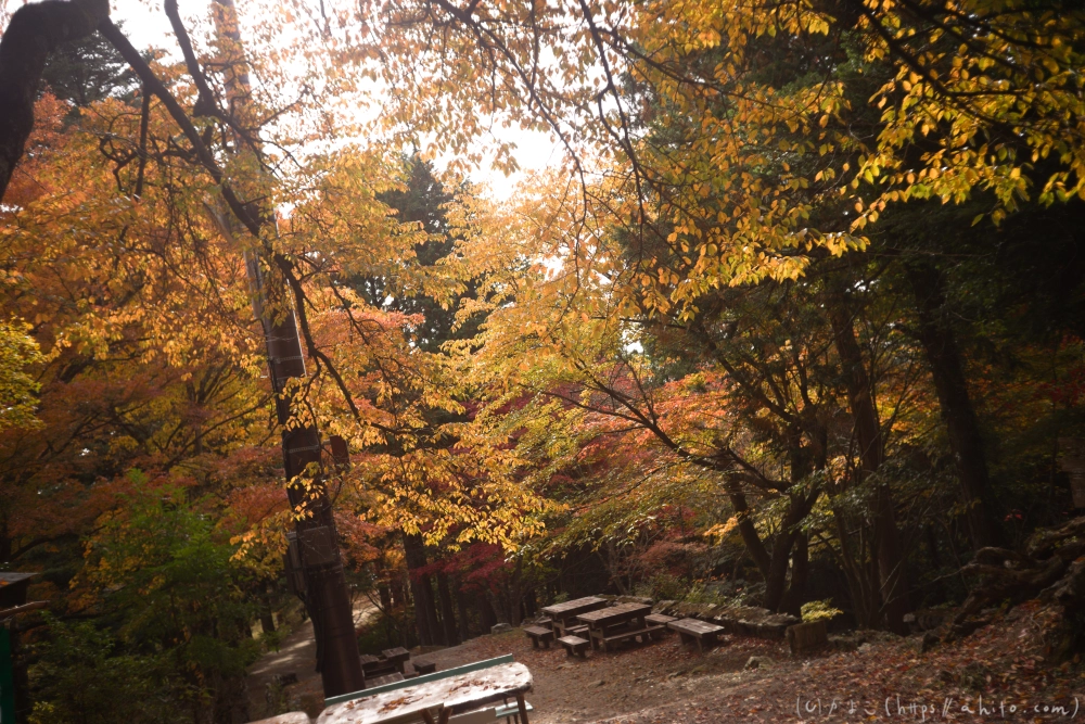 御岳山と紅葉１ - 21