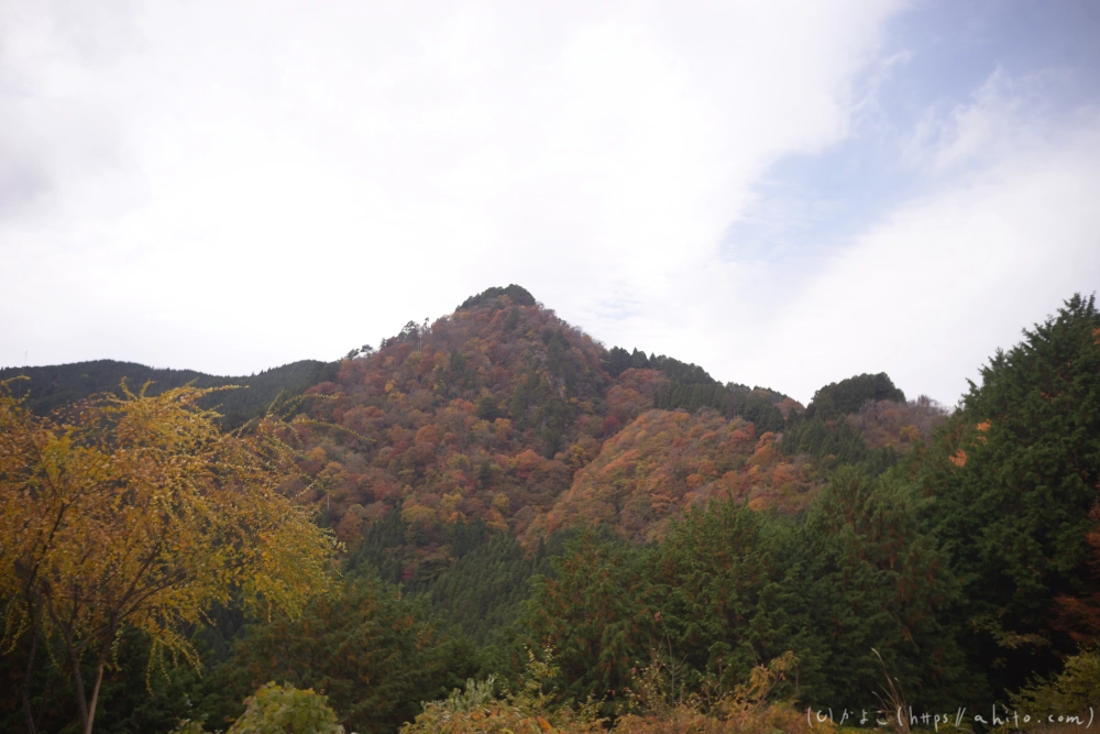 御岳山と紅葉１ - 24
