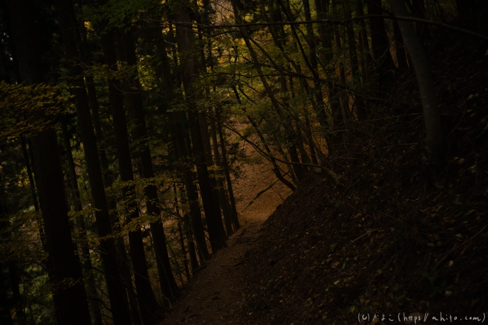 御岳山と紅葉１ - 28