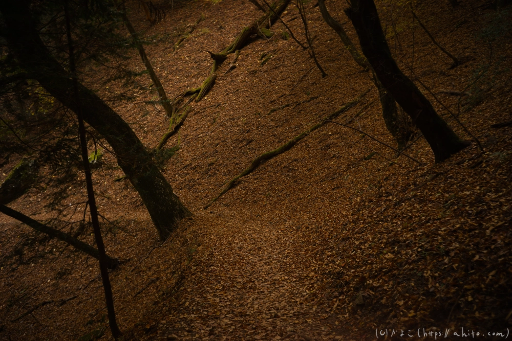 御岳山と紅葉１ - 29