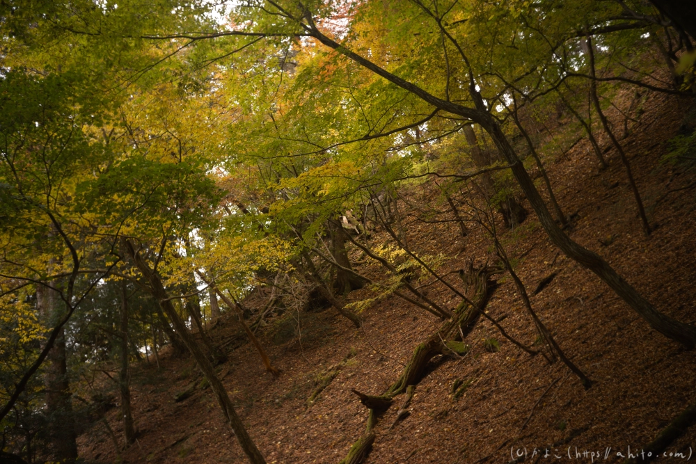 御岳山と紅葉１ - 31