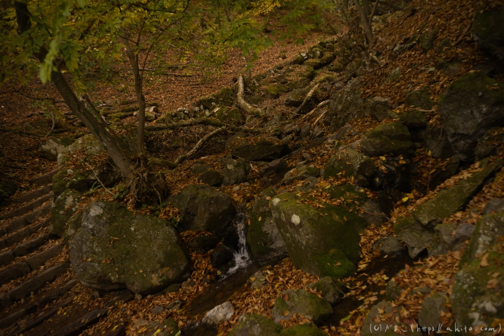 御岳山と紅葉２ - 07