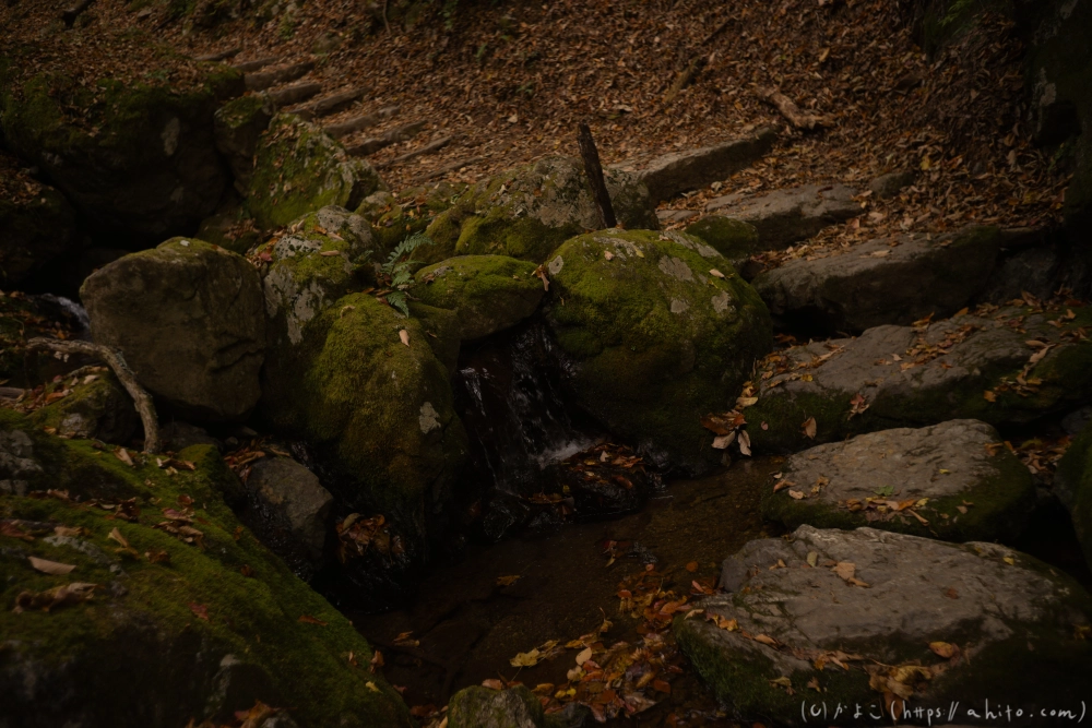 御岳山と紅葉２ - 11
