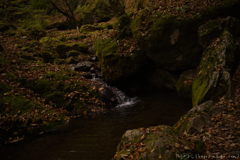 御岳山と紅葉２ - 12