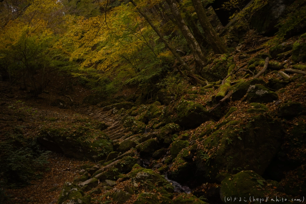 御岳山と紅葉２ - 16