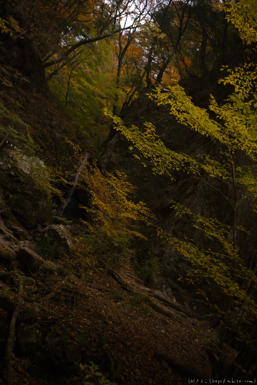 御岳山と紅葉２ - 18