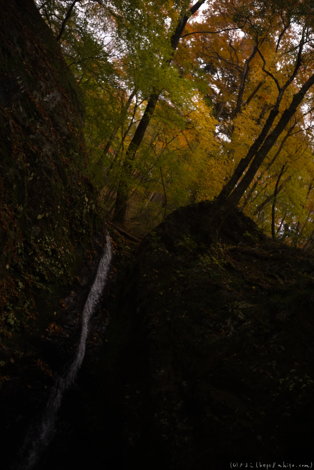 御岳山と紅葉２ - 20