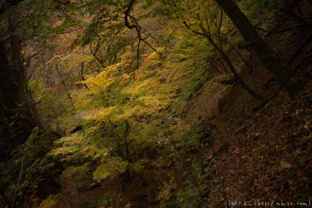 御岳山と紅葉２ - 21