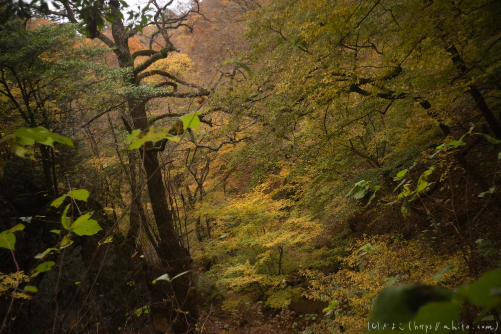 御岳山と紅葉２ - 22