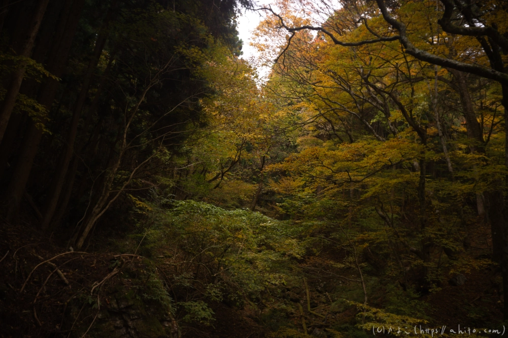 御岳山と紅葉２ - 30