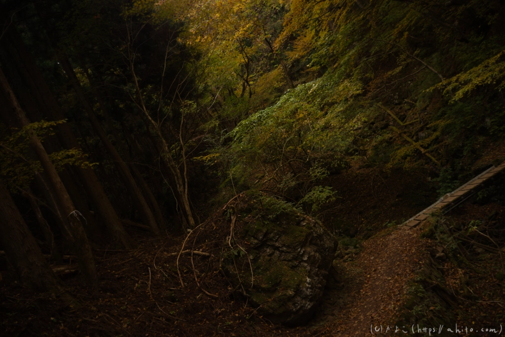 御岳山と紅葉２ - 31