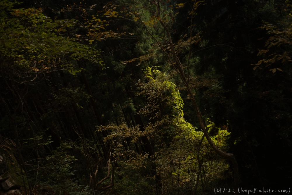 御岳山と紅葉２ - 46